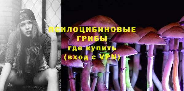 мдпв Волоколамск