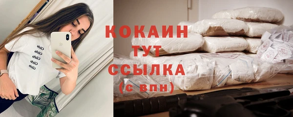 гидра Верея