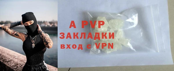 2c-b Бородино