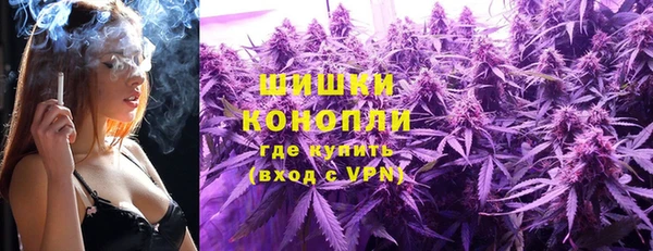 мдпв Волоколамск