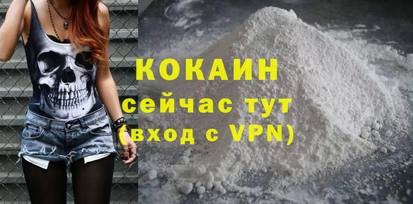 2c-b Бородино