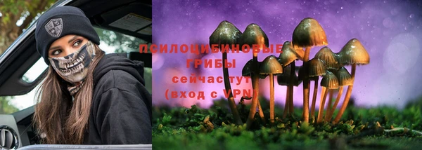 2c-b Бородино