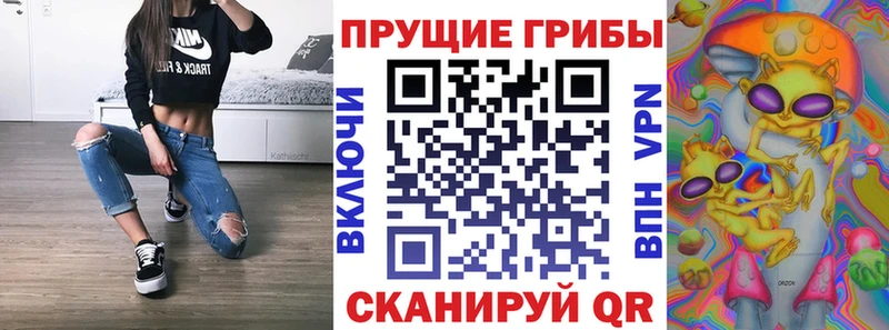 наркошоп  Десногорск  Псилоцибиновые грибы прущие грибы 